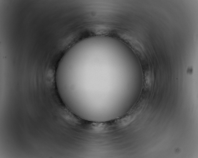 X0000103260667200809051445