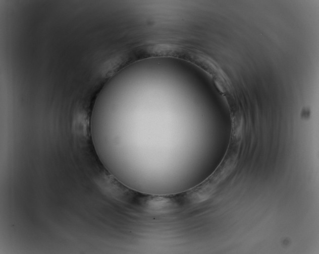 X0000103260669200809051445