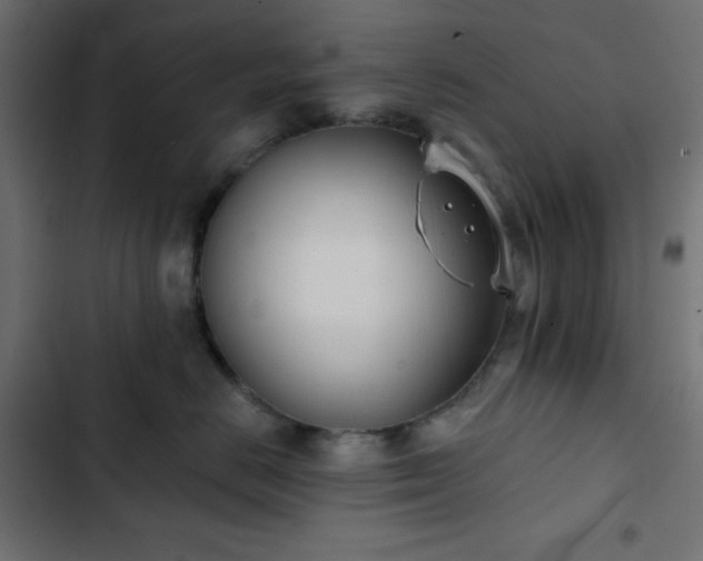 X0000103260670200809051445