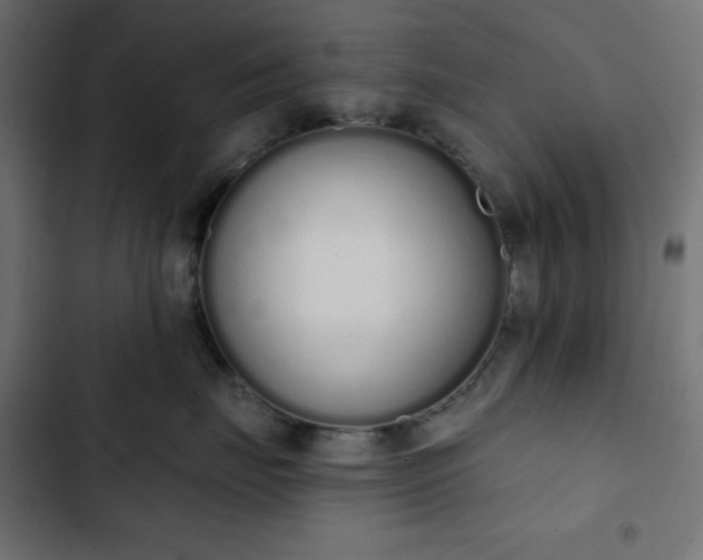 X0000103260671200809051445