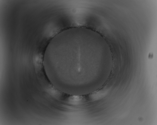 X0000103260672200809051445