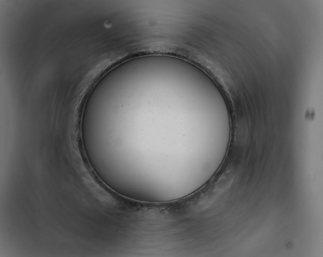 X0000103260673200809051444