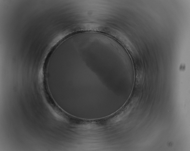 X0000103260674200809051444