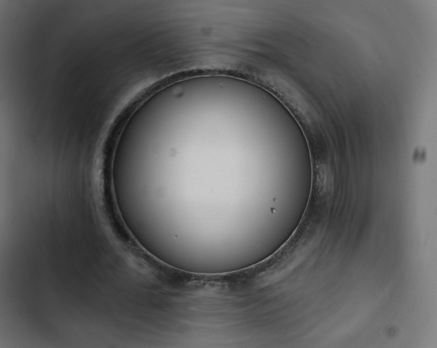 X0000103260676200809051444