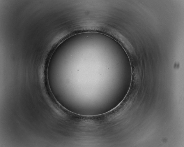 X0000103260677200809051444