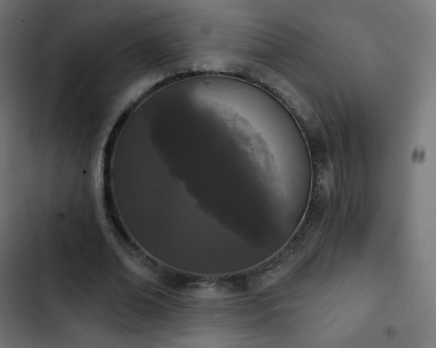 X0000103260678200809051444