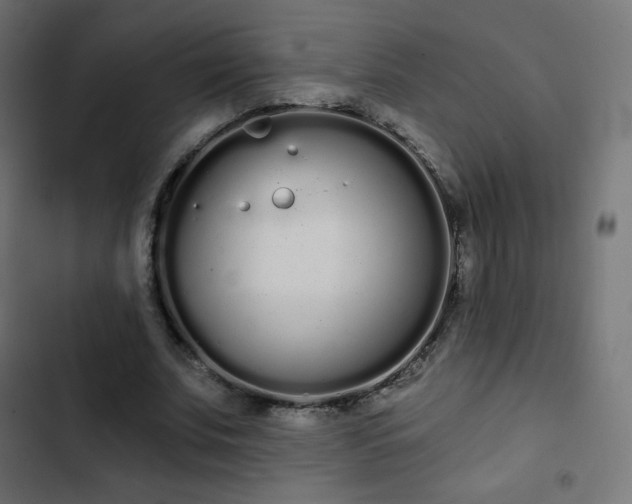 X0000103260679200809051444