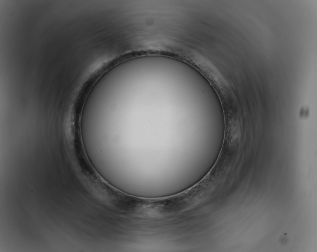 X0000103260680200809051444