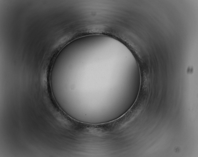 X0000103260681200809051444