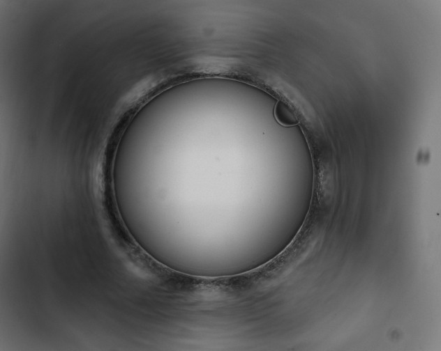 X0000103260682200809051444