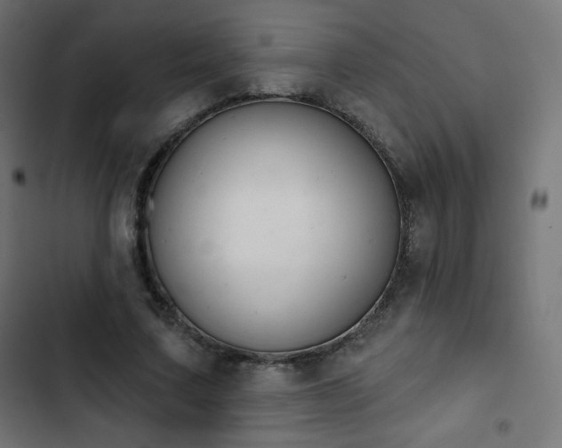 X0000103260683200809051444