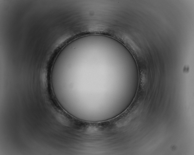 X0000103260684200809051444