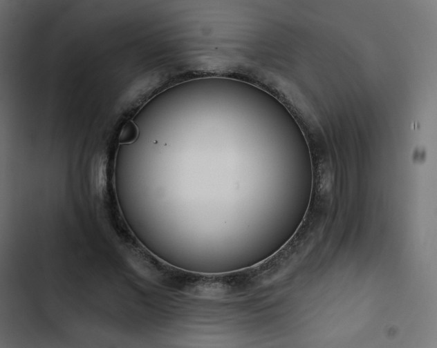 X0000103260685200809051444