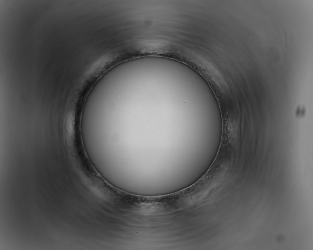 X0000103260686200809051444