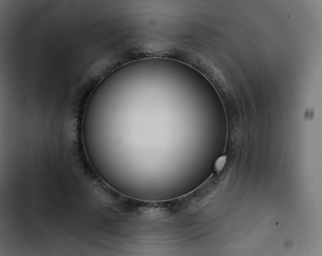 X0000103260689200809051444