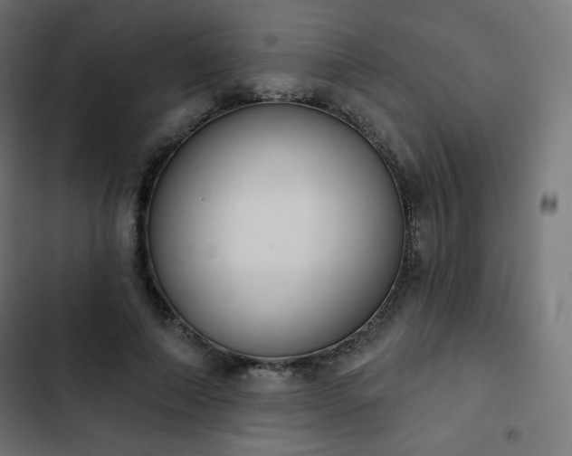 X0000103260690200809051444