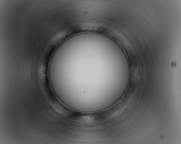 X0000103260692200809051444