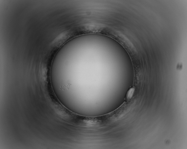 X0000103260693200809051444