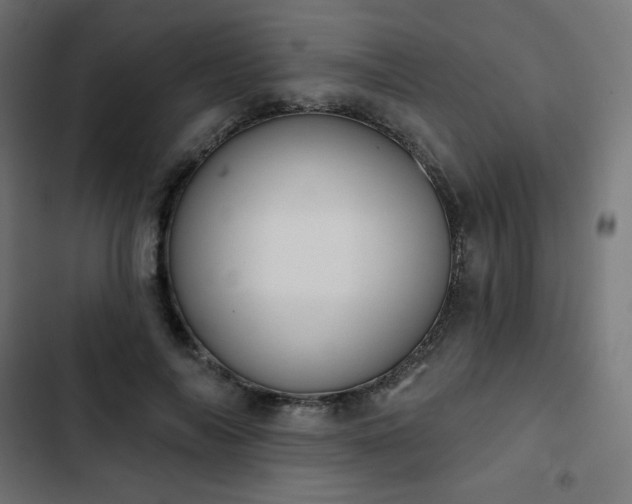 X0000103260694200809051444