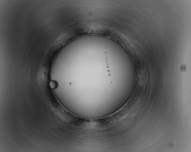 X0000103260695200809051444