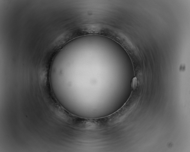 X0000103260697200809051444