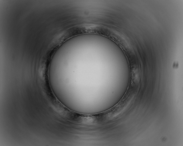 X0000103260698200809051444