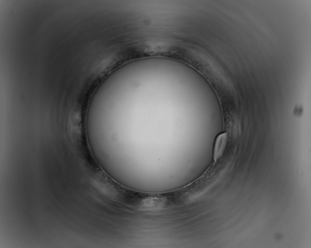 X0000103260700200809051444