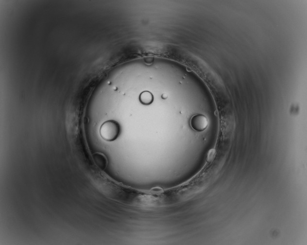 X0000103260703200809051443