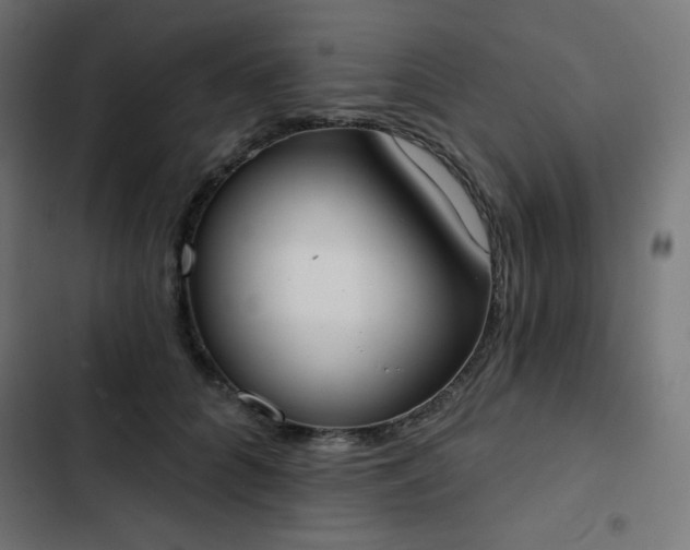 X0000103260704200809051443