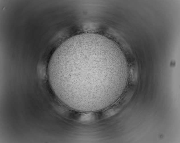 X0000103260705200809051443