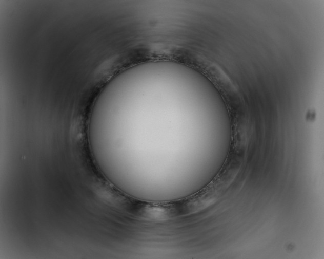 X0000103260706200809051443