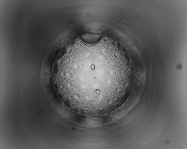 X0000103260707200809051443