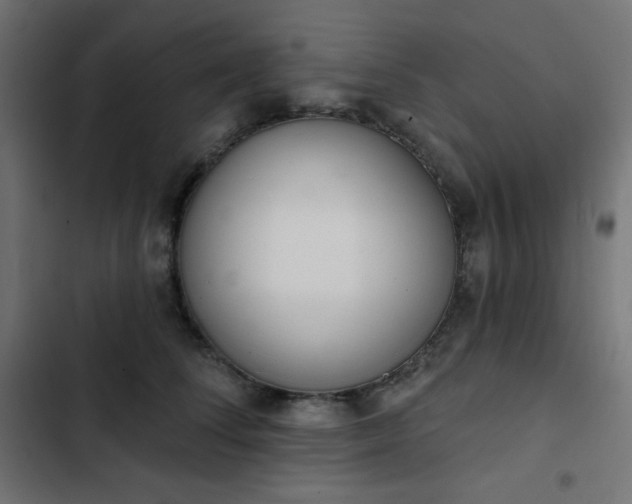 X0000103260708200809051443