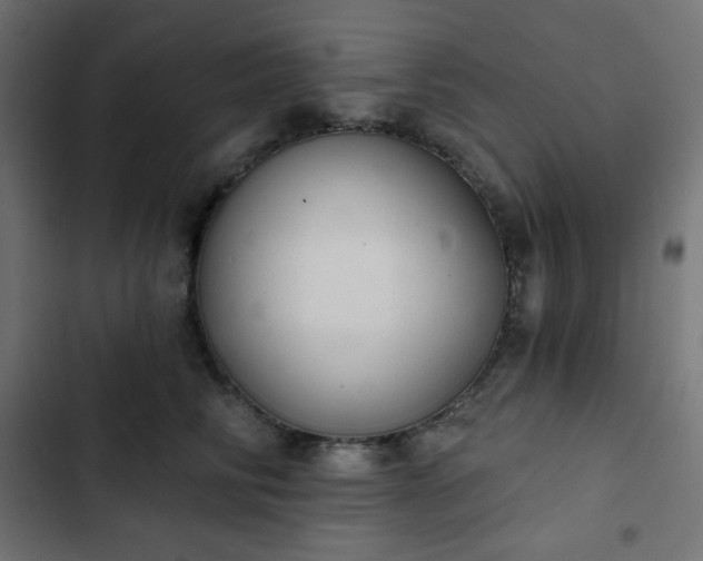 X0000103260710200809051443