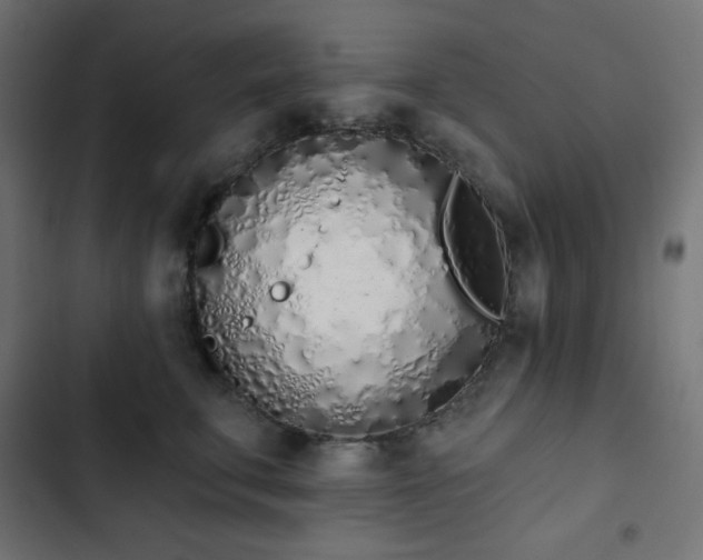 X0000103260711200809051443