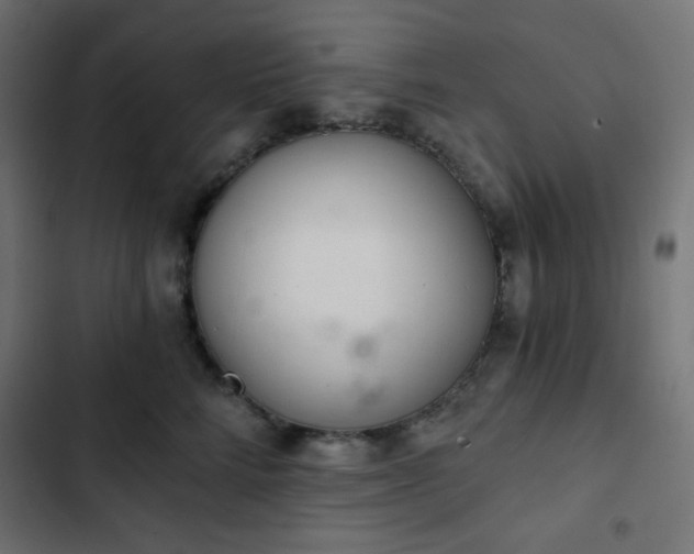 X0000103260712200809051443