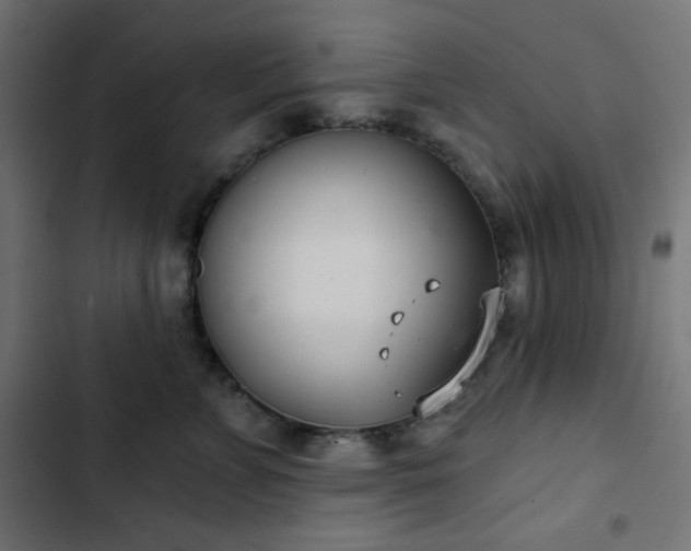 X0000103260715200809051443