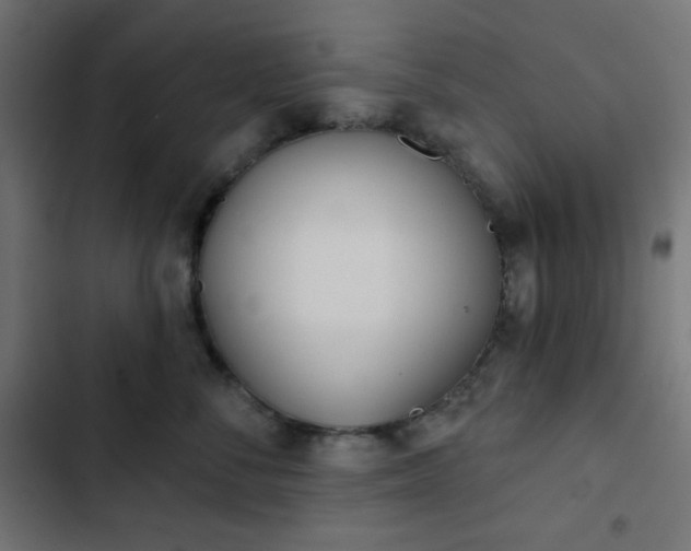 X0000103260716200809051443