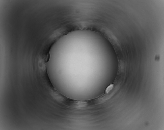 X0000103260719200809051443