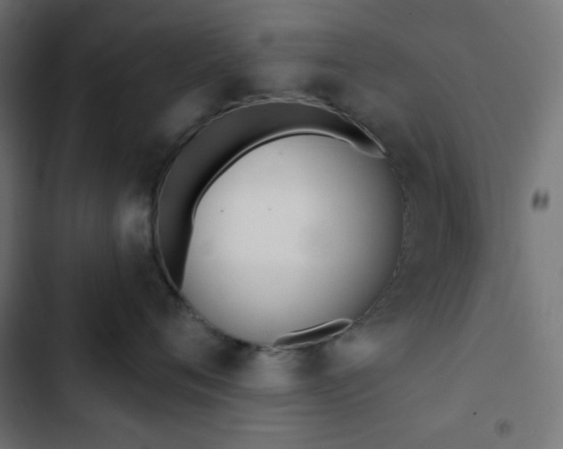 X0000103260720200809051443