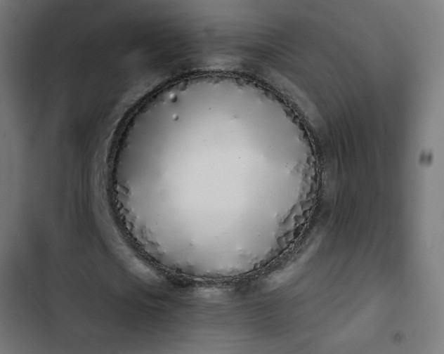 X0000103260721200809051442