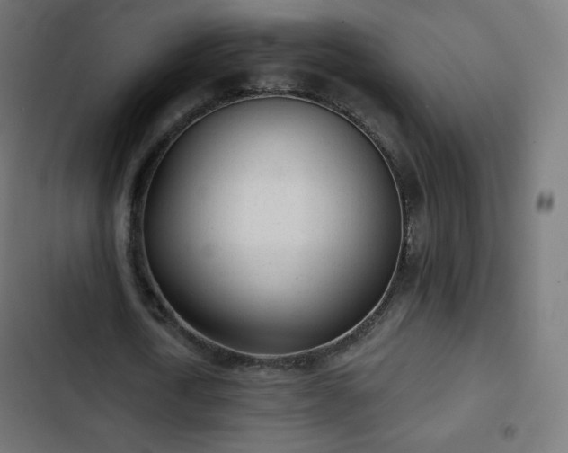 X0000103260722200809051442