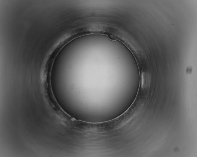 X0000103260723200809051442