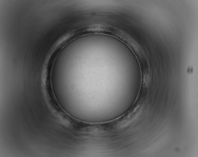 X0000103260724200809051442