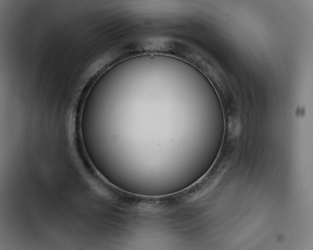 X0000103260725200809051442