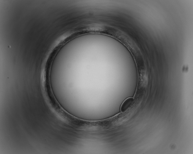 X0000103260726200809051442