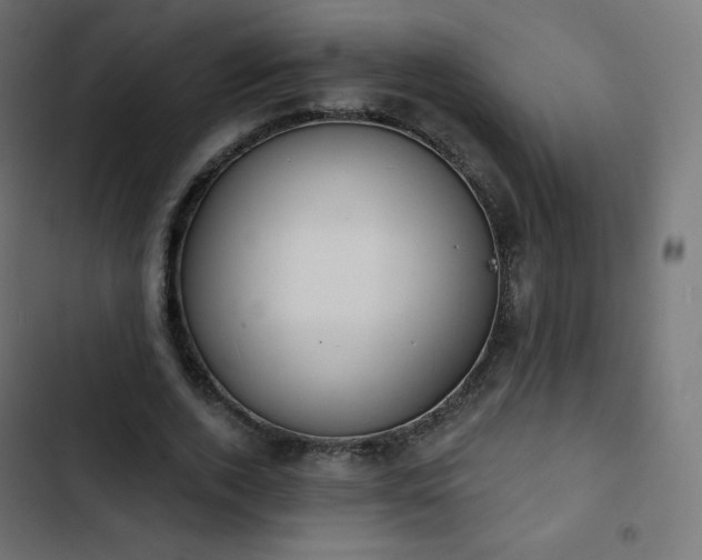 X0000103260728200809051442