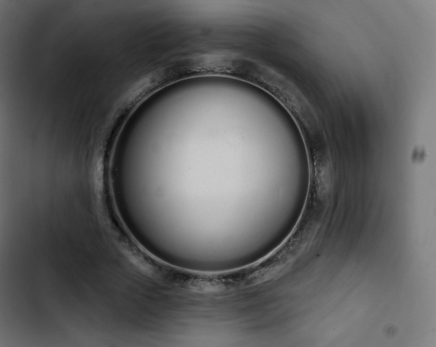 X0000103260729200809051443