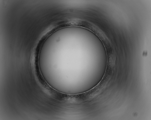 X0000103260730200809051443