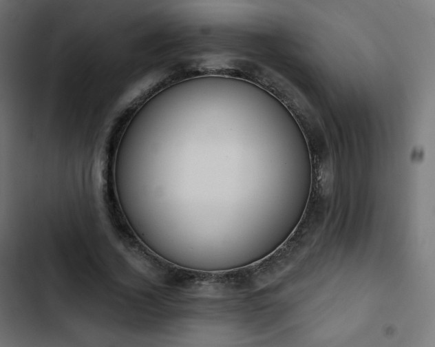 X0000103260732200809051443